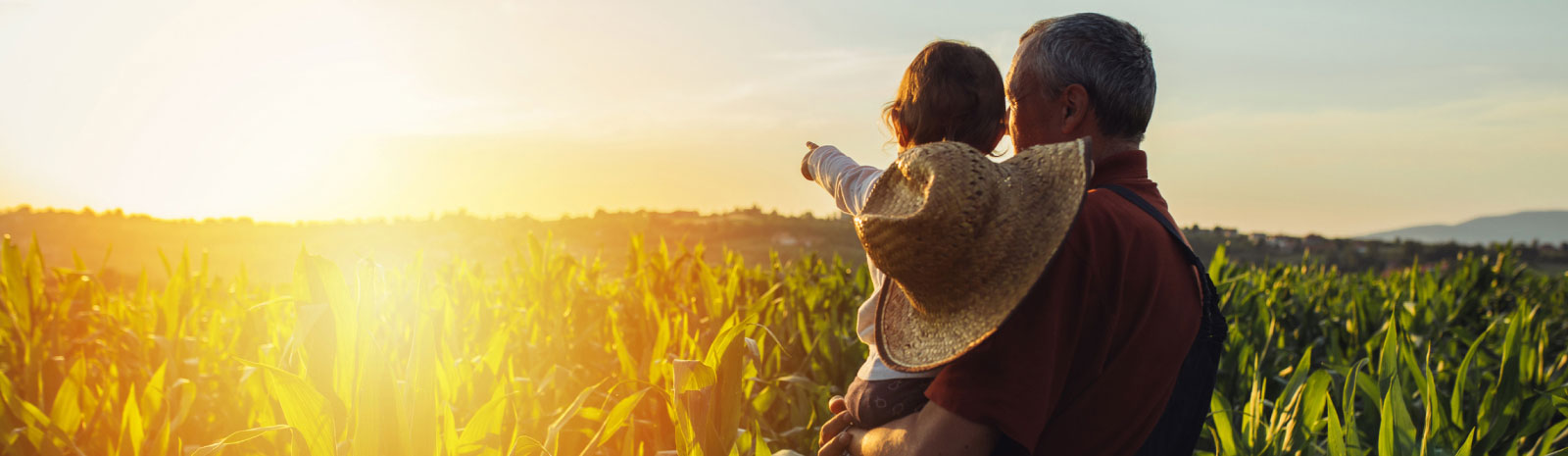 Farmer holding a child in a field with the sun setting