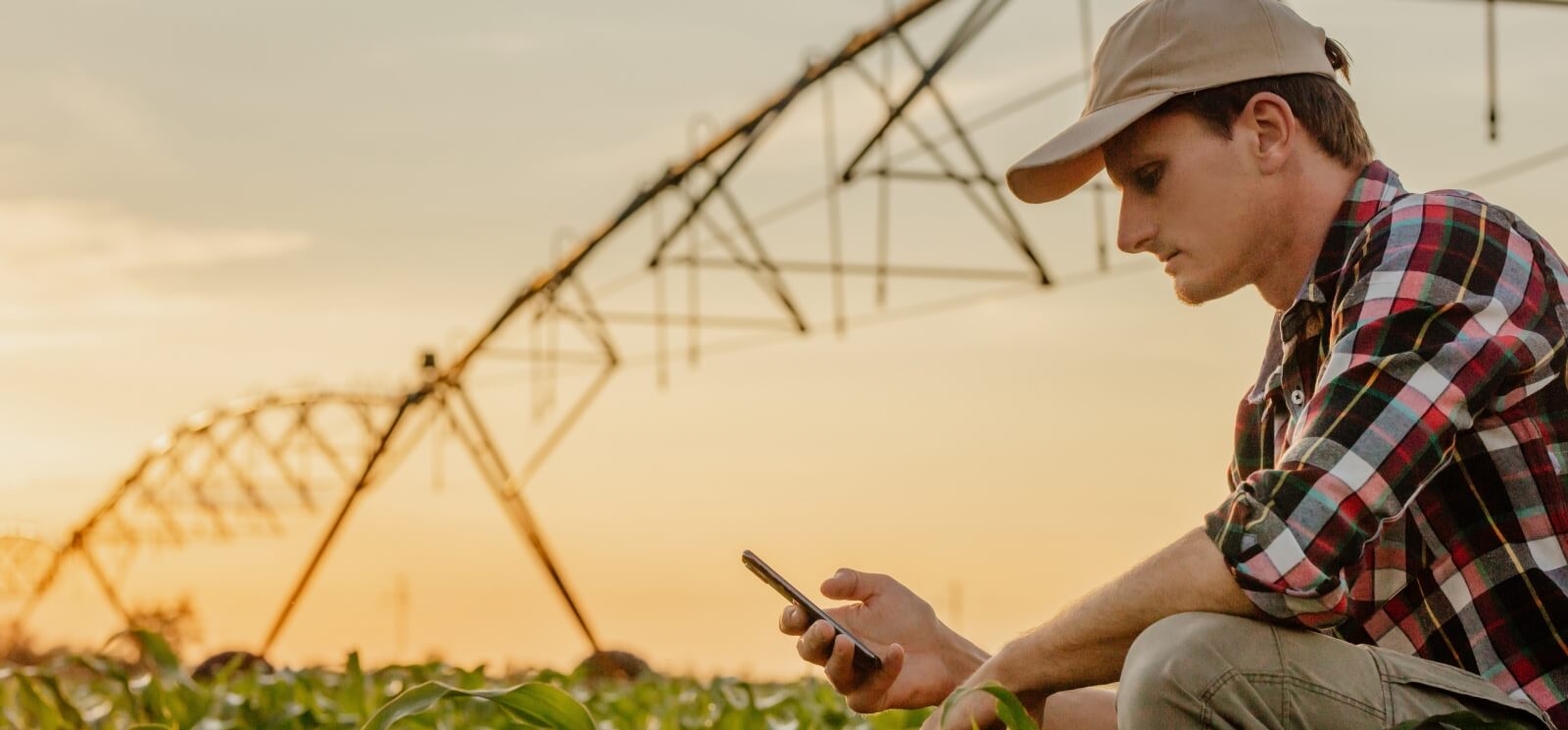 Young farmer checking his phone in a field of crops