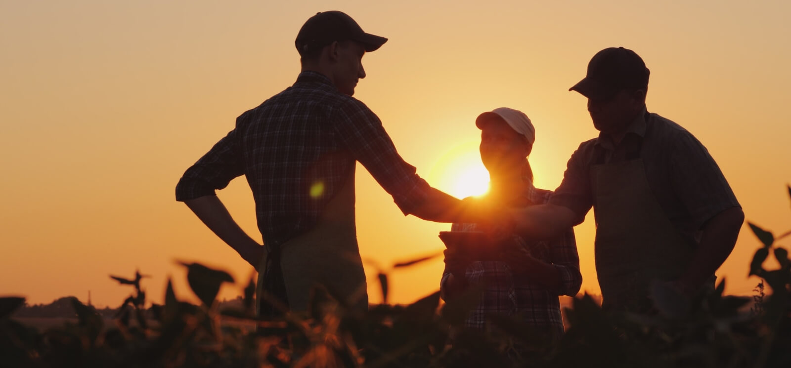 Three farmers in a field silhouetted by the sun in the background